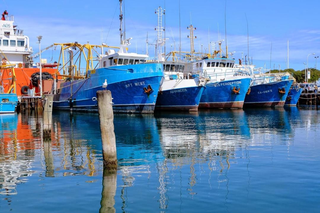 Photo of Others in Fremantle