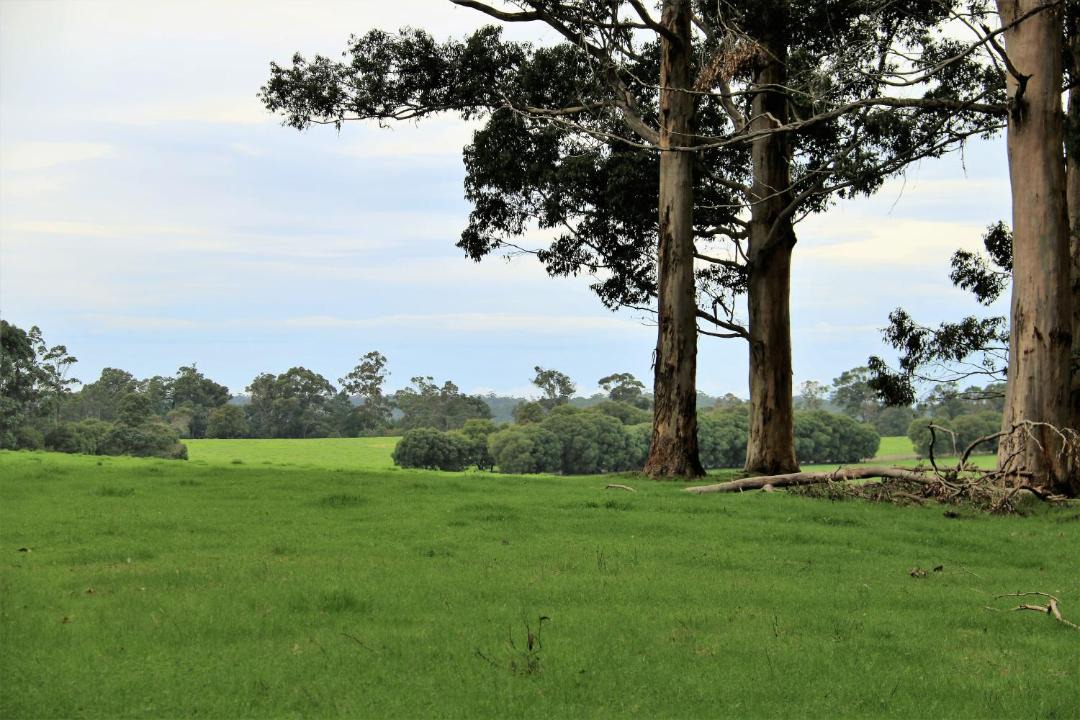 Photo of Others in Yeagarup