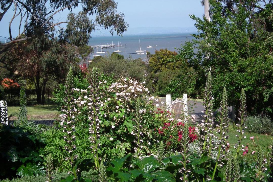Photo of Others in Rhyll
