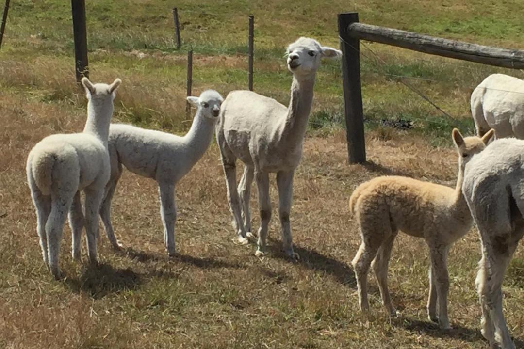 Photo of Others in Gruyere