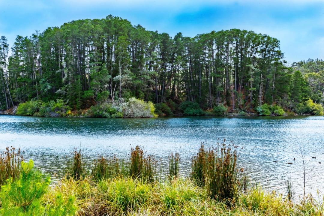 Photo of Others in Creswick