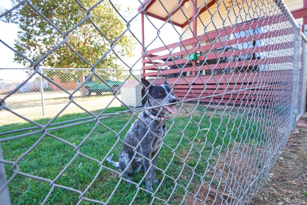 Photo of Others in Dubbo