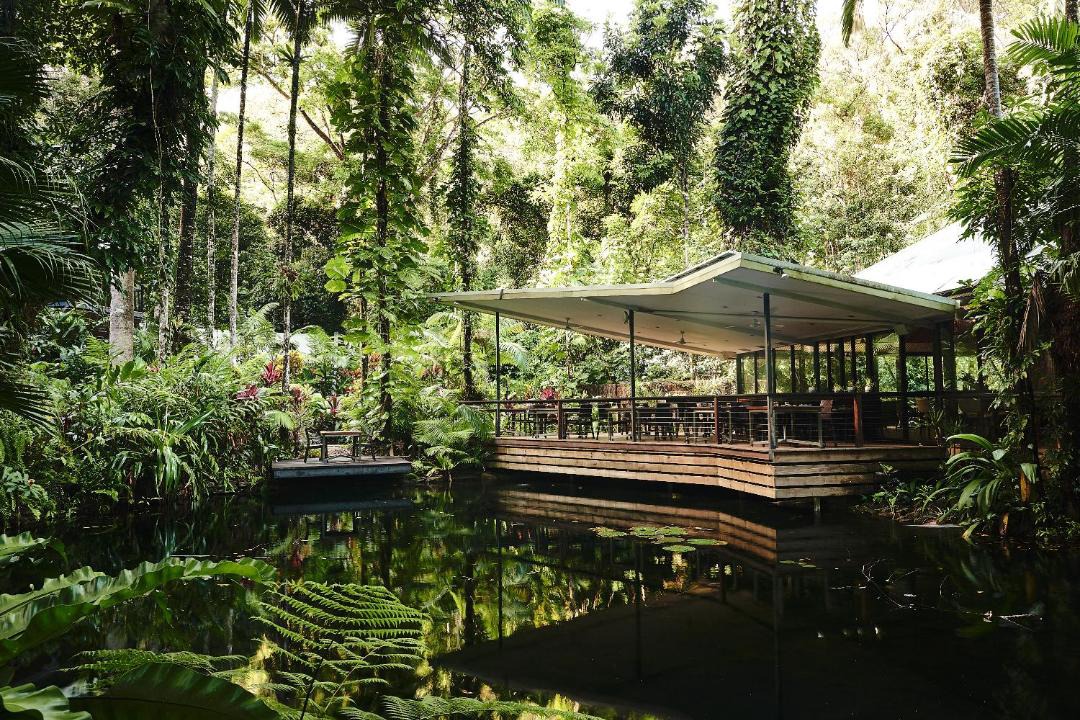 Photo of Others in Lower Daintree