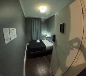 Albany 