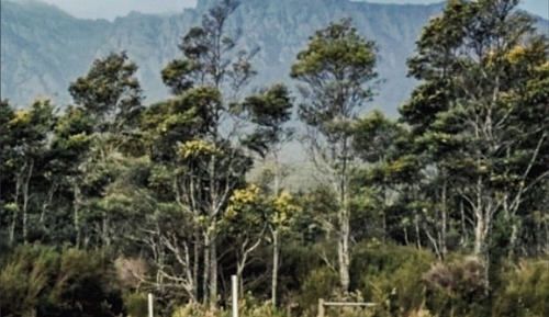 Cabin, Mountain View