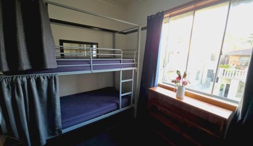 Premium Bed in Female Dormitory Room  