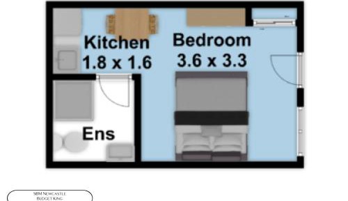 Budget King Room