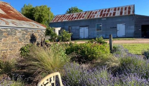 King Studio with Garden View - Adult Only