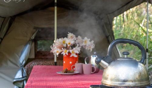 Tent