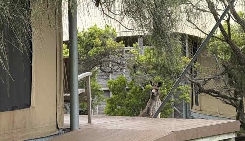 Triple Room with Balcony