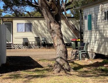 Double or Twin Room with Bathroom