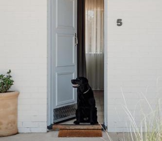 Deluxe Twin Room - Dog Friendly