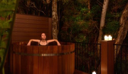 Rainforest Suite