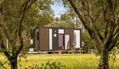 Mobile Home