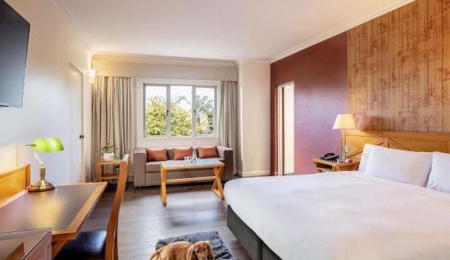 Standard King Room with Courtyard - Pet Friendly