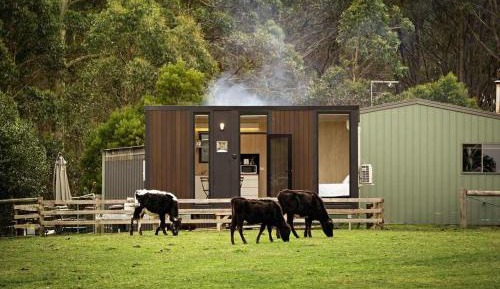 Mobile Home