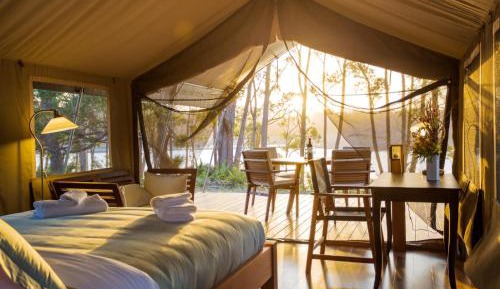 Tent