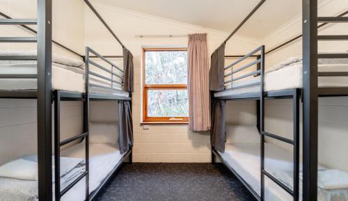 Bed in 4-Bed Female Dormitory Room