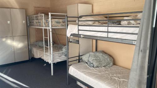 Bed in 4-Bed Male Dormitory Room