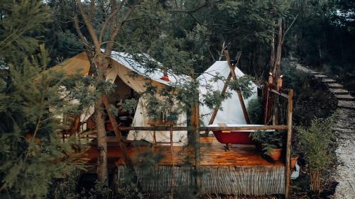 Tent