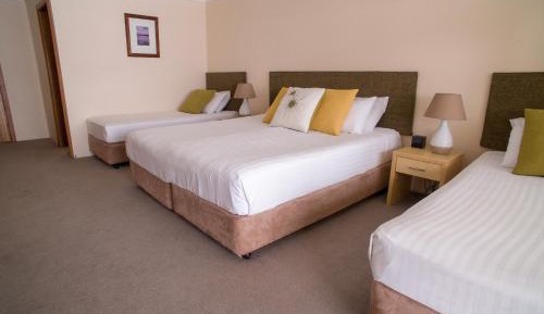 Deluxe Family Room 