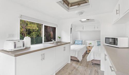 Caravan Daisy