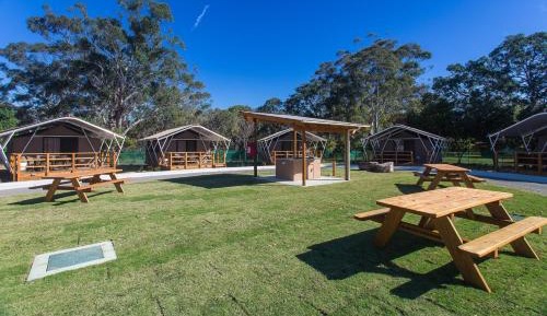Safari Tent