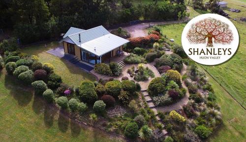 Superior Villa