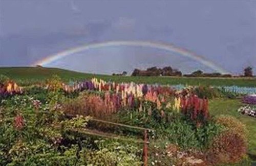 Boat Harbour Hotel | Boat Harbour Garden Cottages