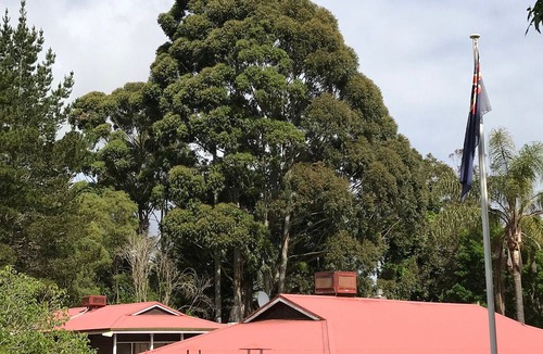 Pemberton Hotel | Forest Lodge Resort