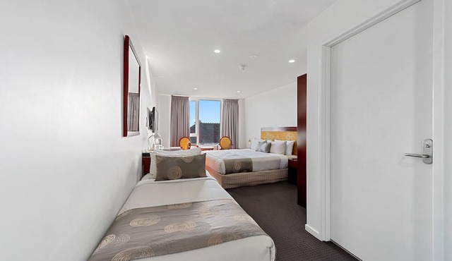 Areca Launceston