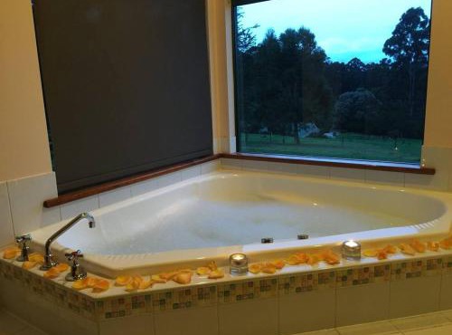 #2 Walpole Wilderness Resort chalet. Spa + forest.