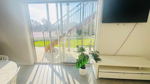 KINGI Granny Flat